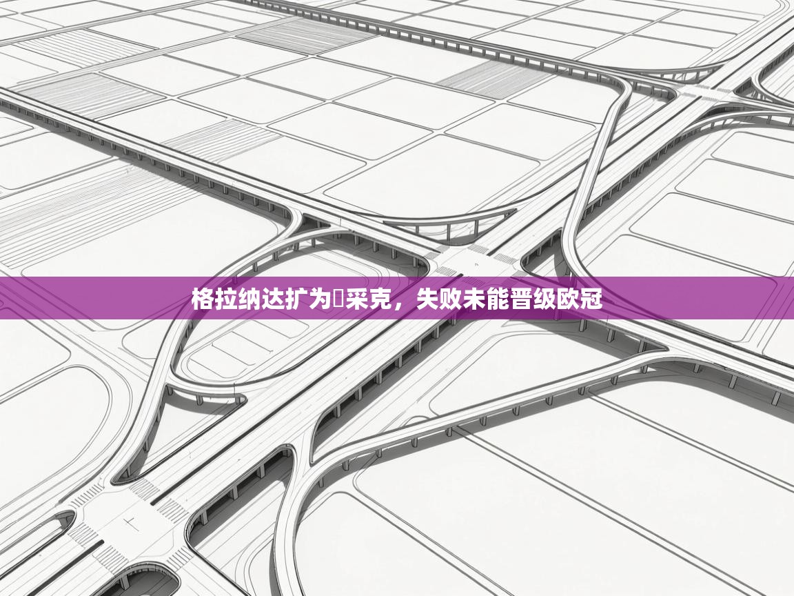 格拉纳达扩为ƥ采克，失败未能晋级欧冠  第2张